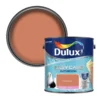 Dulux Easycare Bathroom Frosted Papaya Soft Sheen Wall Paint, 2.5L -Hammerite Shop dulux easycare bathroom frosted papaya soft sheen wall paint 2 5l5010212668627 02c bq