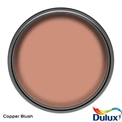 Dulux Easycare Kitchen Copper Blush Matt Wall Paint, 2.5L -Hammerite Shop dulux easycare kitchen copper blush matt wall paint 2 5l5010212668429 12c bq