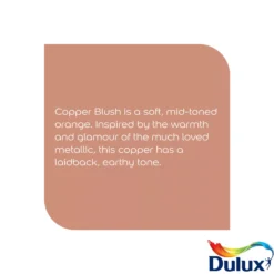 Dulux Easycare Kitchen Copper Blush Matt Wall Paint, 2.5L -Hammerite Shop dulux easycare kitchen copper blush matt wall paint 2 5l5010212668429 36c bq