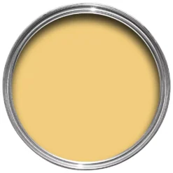 Farrow & Ball Estate Citron No.74 Matt Emulsion Paint, 2.5L -Hammerite Shop farrow ball estate citron no 74 matt emulsion paint 2 5l5029496027426 21c bq